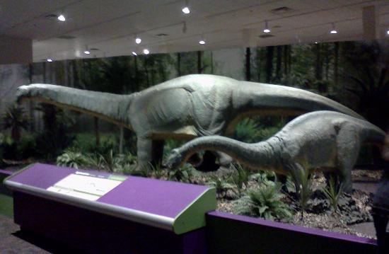 Rochester Museum and Science Center